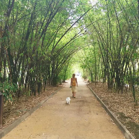 Home2book Design Black & White Cruz